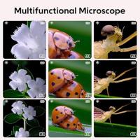 Para Niños Microscopio-Portátil Lupa de Mano Microscopio Digital para Niños Educativos Sc - details 3