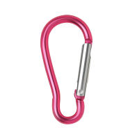 Llavero De Aluminio Carabiner Para Camping Al Aire Libre Y Escalada Kit De 5/10/50/100 Piezas Abrazadera De Botella De Agua Clip De Llave Accesorios De Escalada - details 9