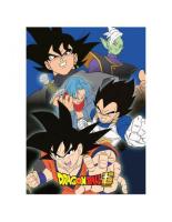 DRAGON BALL MANTA POLAR 100*140CM - details 1