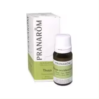 Thuya Occidentalis Aceite Esencial 10Ml. - 1