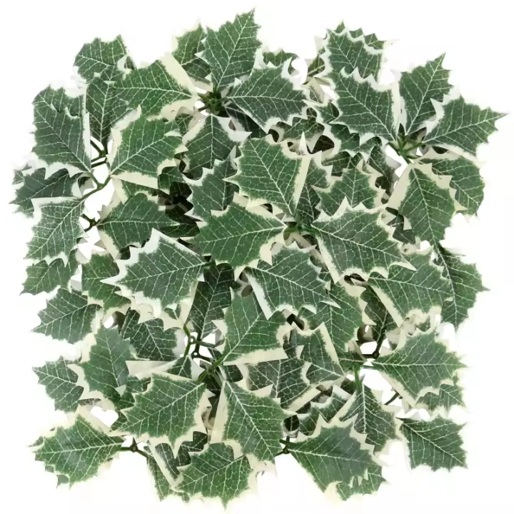 10pcs Berries De Holle Artificiales Con Hojas Para Decoración De Navidad Artesanías De Wreath Para Casa Adornos De Árbol De Navidad Regalo De Año Nuevo - 1