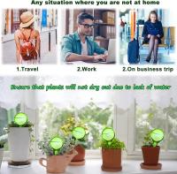 Bola De Riego Automática Para Plantas Juego De Riego Por Drip Irrigación Sistema Globular De Plástico Para Jardín Y Flores - details 1