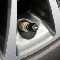 Tapa De Válvula De Neumático Para Coche Resistente Al Agua Para Renault RS Clio Scenic Logan Megane Koleos Sandero Safrane - details 2