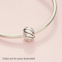 Pasiones Pandora Clips - details 2