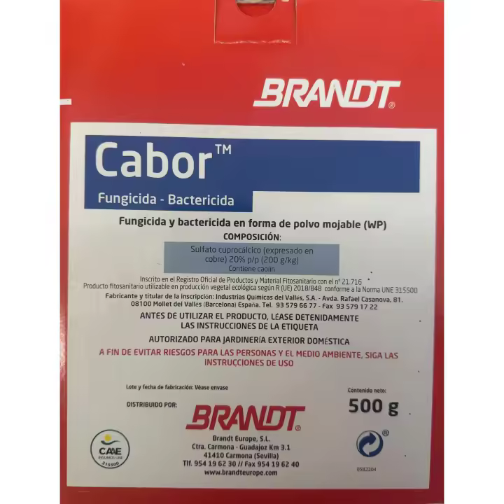 Caldo bordales 500g CABOR - 1