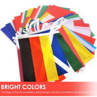 24pcs Bandera De Países Europeos Para Euro Cup Decoración De Fiesta De Fútbol Bunting De Banderas Nacionales De Lona No Tejida - details 9