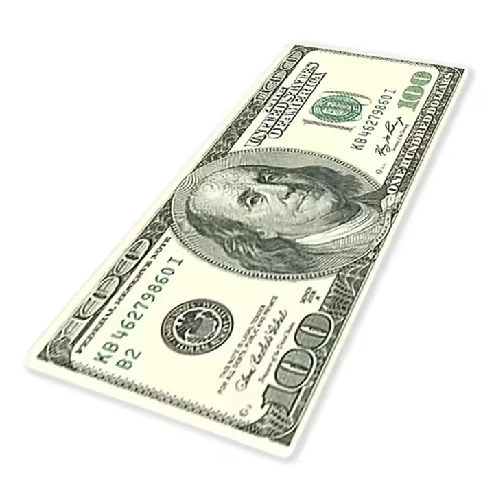 ALFOMBRA FELPUDO GIGANTE 3,5 metros x 50cm Ancho ESTAMPADO DE BILLETE DE DÓLAR  Antideslizante 100% Poliéster- SpazioLuzio - 1