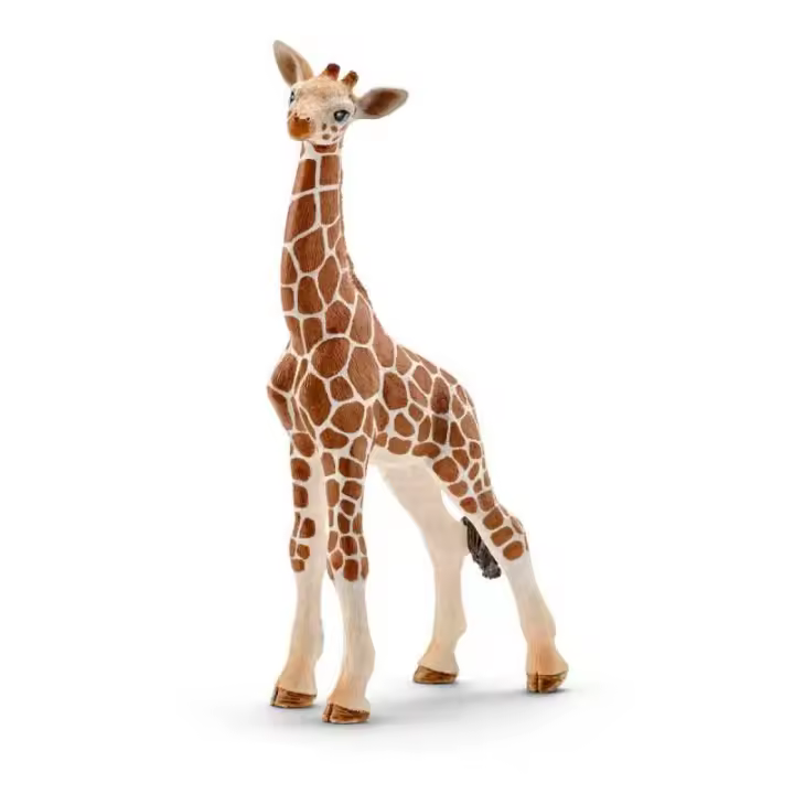 Figura de Jirafa Schleich - Realista Colección Educativo - 1
