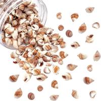 300 Pcs Encantos De Concha De Playa Naturales En Espiral Sin Perforar Para Creación De Joyas Y Manualidades De Verano - details 0
