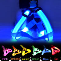 Harnés De Moda Para Perros Con Luz LED Electrónica Y Correa De Nylon Accesorios Para Mascotas Vests Luminosos Para Animales - details 0