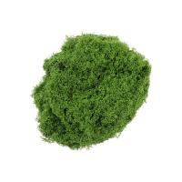 Moss Artificial Verde Para Ornamento De Jardín Decoración De Habitaciones Miniatura De Plantas Verdes DIY Para Macetas Y Artesanía - details 3