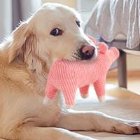 Juguete Interactivo de Peluche para Perros - Duradero y Resistente, Ideal para Masticar y Jugar - Juguete Seguro y Divertido para Perros de Todas las Edades, Yommy - details 1