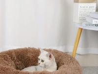 Cama De Gato Invierno Plush Desmontable Y Lavable Redonda Para Mascotas Caliente Y Decorativa Universal Para Perros Y Gatos - details 3