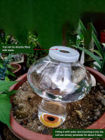 Inserto De Riego En Forma De Amor Automático Sprayer De Riego Para Plantas Dispositivo De Drip De Irrigación Para Flores - details 4