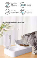 Tazas Para Gatos Y Perros Doble Alimentador De Agua Y Alimentos Inclina 15 Grados Tazas Elevadas Con Botella Automática Para Mascotas - details 1
