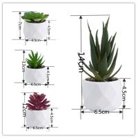 Evergreen Artificial Suculentas Simulación De Plantas Falsas Pequeñas En Macetas Cactus Bonsái Para El Hogar Material Plástico - details 0