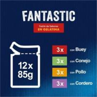 FELIX Fantastic Festín de Sabores en Gelatina - Alimento Húmedo Completo para Gatos Adultos (Buey, Conejo, Pollo y Cordero) - details 1