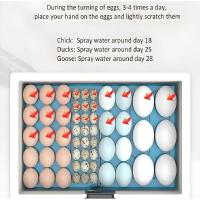Incubador De Huevos Pequeño Termostático 24 Horas Con Cama De Agua Biomimética Automático Inteligente Para Pollos Pato Ganso - details 0
