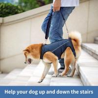 Almohadilla De Soporte Para Perros Con Enjalmas Transpirables Y Acolchadas Para Ancianos Discapacitados Lesiones Articulares Artritis Caminar - details 5