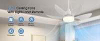 ceiling fan with light