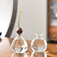 Vaso De Comino Para Cultivo De Semillas Kit De Plantación Con Pegatinas Regalo Para Amantes Del Jardín Material De Vidrio Transparente - details 4