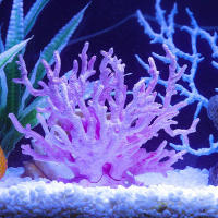 Decoración De Acuario Falsa Coral De Undersea Planta Acuática Simulación Para Tanque De Peces Adorno Micro Familiar - details 16