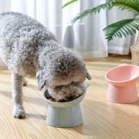 Tazón De Alimentos Para Gatos Con Alzamiento Anti Vómitos Para Rostros Planos Pequeños Perros Protege Espalda Del Animal Lavable En Lavaplatos - details 3