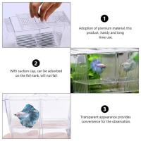 Acuario Multifuncional Para Peces Caja De Cría Y Aislamiento De Acrílico Transparente Tanque De Peces Para Guppys Incubador De Hatching - details 4