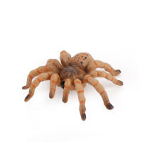 Figura De Acción Simulación De Araña Tarántula Negra Para Juegos De Halloween Juguetes Educativos Divertidos Y Terroríficos Para Adultos Y Niños - details 10