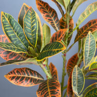 Planta Artificial De Tamaño Grande Codiaeum Falso 80-120cm Ficus Fiddle Hojas De Plantas Tropicales Para Decoración Del Hogar Material De Seda Origen China - details 10