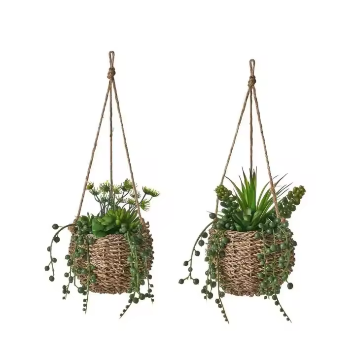 Dcasa Set de 2 plantas artificiales con maceta cactus de plástico colgante - 1