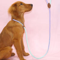 Correa Para Perro Colorida Para Uso Indoor Y Outdoor Material De Nylon Resistente Y Duradero Para Entrenamiento Y Paseos - details 1