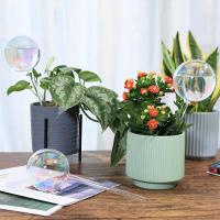 Bulbos De Rociado Automático Para Plantas Vidrio Rainbow Gradient Color Transparente Herramienta De Riego De Maceta Self Watering - details 10