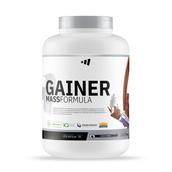Gainer MASS Formula - 3 Kg MM Supplements