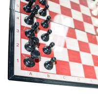 EUROXANTY-JUEGO DE AJEDREZ MAGNÉTICO MESA PLEGABLE ROBUSTO INTELIGENCIA VARIOS TAMAÑOS - details 2