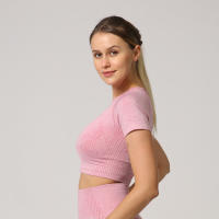 Camiseta De Yoga Sin Costuras Para Mujer Top Corto De Manga Fitness Ropa Deportiva Para Gimnasio Correr Sportswear Polyester Nylon Spandex - details 21