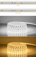 Tira De Luces LED Flexible 110V 220V Impermeable Para Exterior Con Enchufe EU/US Decoración De Jardín 1M/2M/5M/10M/15M/20M 5050 SMD Luz Blanca Cálida Y Natural - details 9