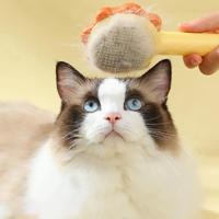 Cepillo Mágico Para Mascotas 10Pcs Limpieza Y Masaje Para Perros Y Gatos Cepillo Desplumador Para Animales De Compañía Material Plástico - details 0