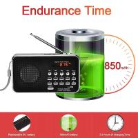 L-938 Mini Portable Digital FM Radio 3W Output Power / 1.5 Inch Display Screen / Support USB Drive - details 0