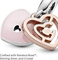 Pandora Mujer Plata Abalorio 787801NBP, Viene con el embalaje de Caja De Regno original. - details 1