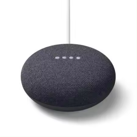 Google Nest Mini Carbón - 1