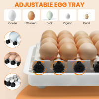 10/15/24/36 huevos Incubadora totalmente automática para, giro automático de los huevos, control de temperatura, adición automática de agua, incubadora para huevos de aves de corral con iluminación LED y doble alimentación - details 1