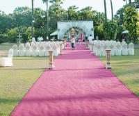 Carpetazo De Boda Rosa Para Hotel Carril De Fiesta Propuesta Y Ceremonias Material No Tejido Origen Zhejiang China - details 5