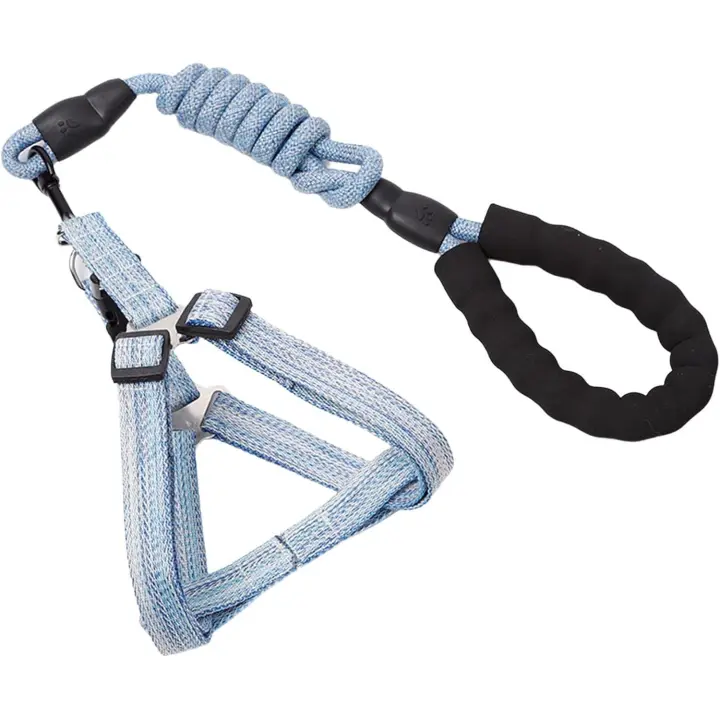 Correa para Perros, Correa para Perros, Correa Deslizante, Arneses con Correa, Correa Larga para Mascotas, Entrenamiento Fuerte, Caminar, cinturón de Natacion, Mango Dulce (Azul, 1,5*120 cm) - 1