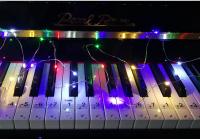 Cuerda De Luces LED De Cobre 5pcs 2m Para Decoración De Navidad Y Bodas DIY Inalámbricas Impermeables Para Árbol De Navidad Y Fiesta - details 12