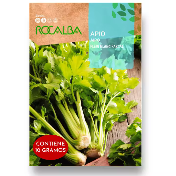 Semillas Apio Profesional - Sobre 10 GR (Sobre Grande) - Apio de Gran Sabor y Tamaño con gran producción - Semillas Rocalba - 1