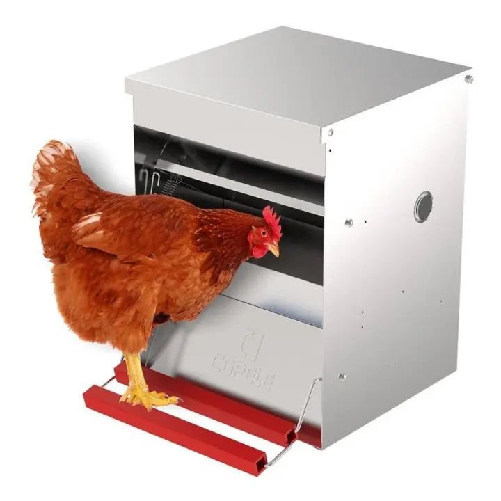 Copele Comedero automático para gallinas Safeed 12 kg - 1