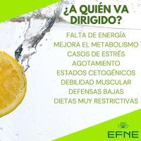 EFNE Complemento Multivitamínico Multisalud 1/0 PRO - 30 Cápsulas - Multivitaminas y Minerales - Complejo Multivitaminico Vegano 25 Nutrientes con Vitaminas E,B3,B5,B12,B6,D3,B2,B1,B9,B8 | - details 1