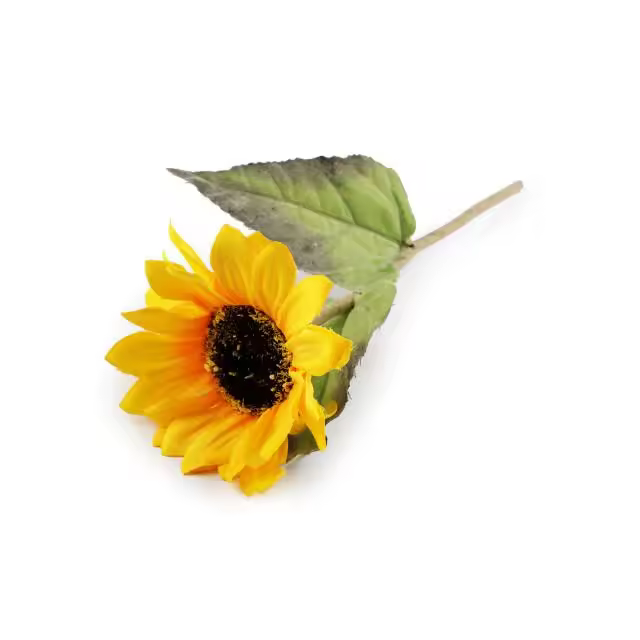Artipistilos Girasol Artificial Ø10 Cms Raíz - 1
