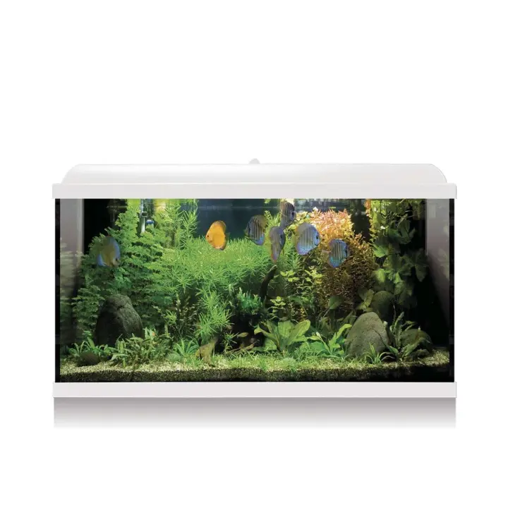 Kit AQUA LED PRO ICA  240 BLANCO con filtro exterior Tecnología LED y un diseño exclusivo son los distintivosen nuestros acuarios AQUA LED PRO.ElKitBASE incluye*: filtro interior, pantalla integrada, lámpara LED, alimento para peces, acondicionadores, - 1